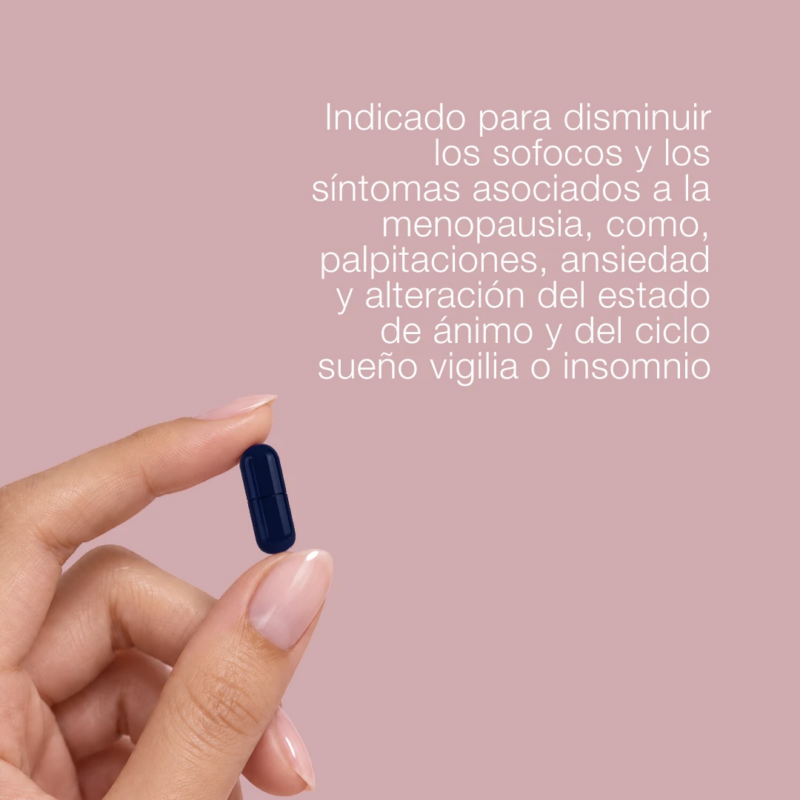CUMLAUDE-serotogyn-nocta2