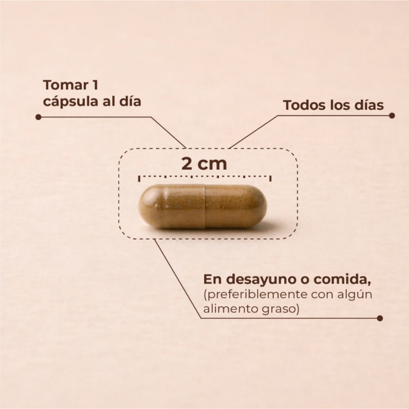 Kobho-Calm-cómo-tomarlo