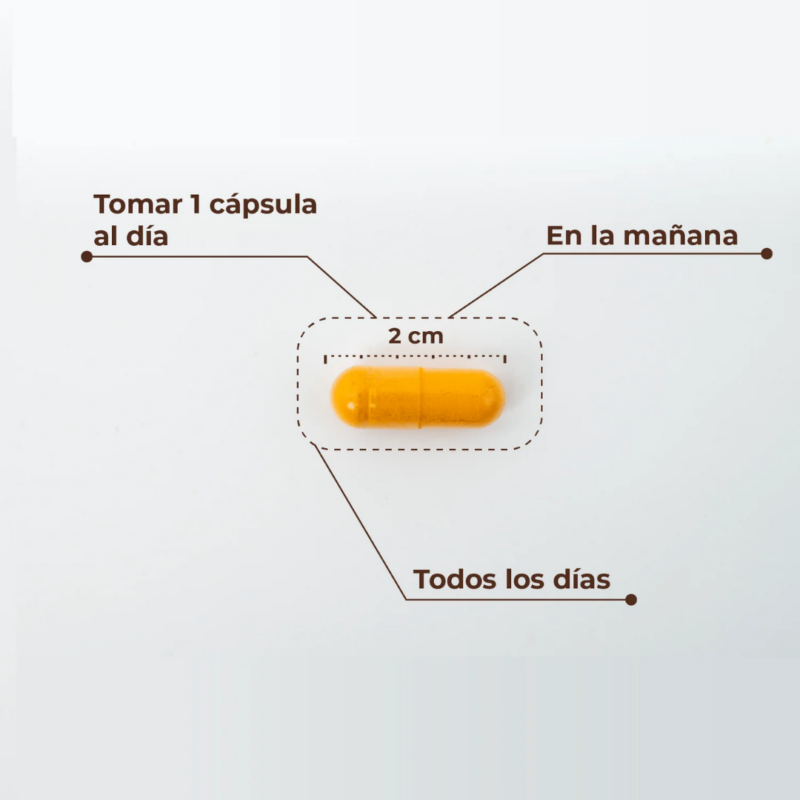 Kobho-curcuma-modo-de-empleo