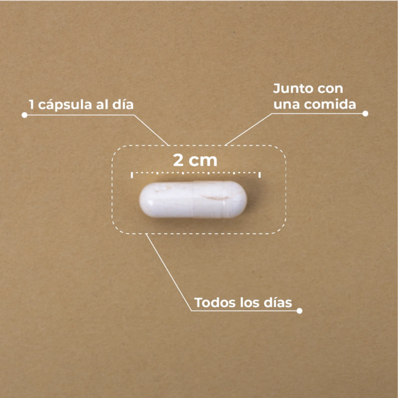 Kobho-Liposomal-Vitamina-C-Reishi-cómo-tomarlo
