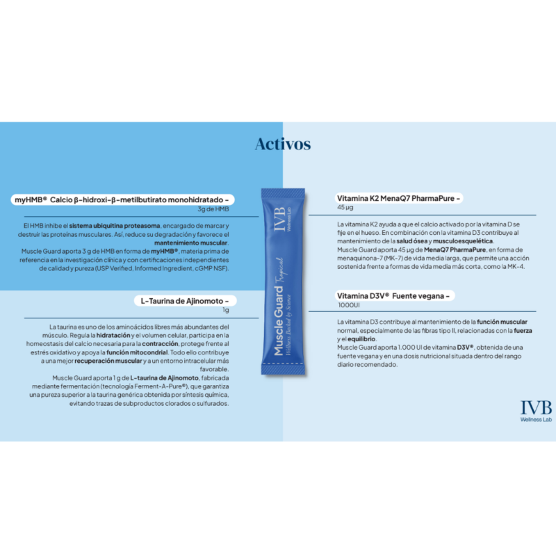 ivb-muscle5