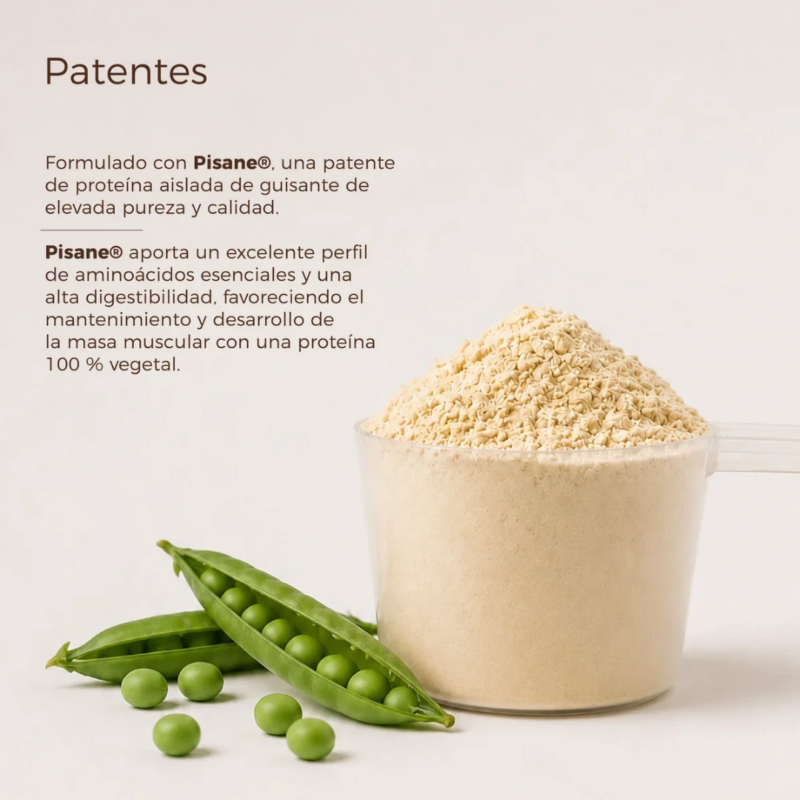 kobho-proteina-vegana3